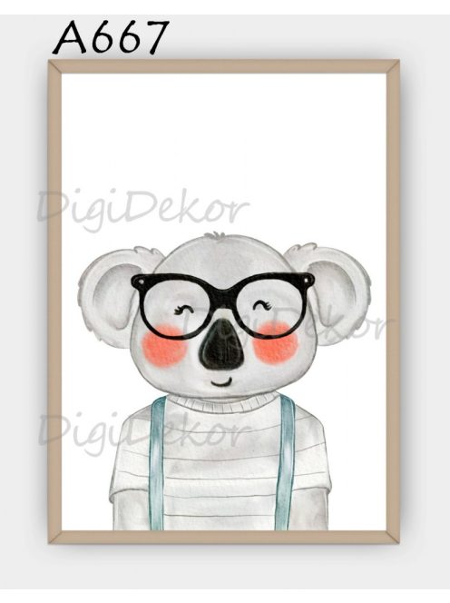 Koala szemüvegben