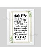 Olajággal díszített szülinapi tábla 3