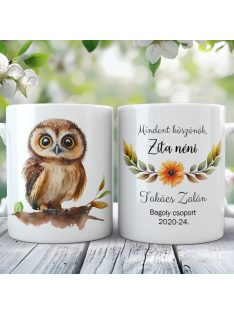 Baglyos bögre pedagógusnapra, évzáróra