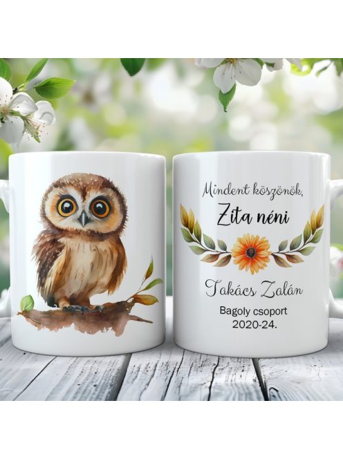 Baglyos bögre pedagógusnapra, évzáróra