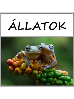 Állatos 